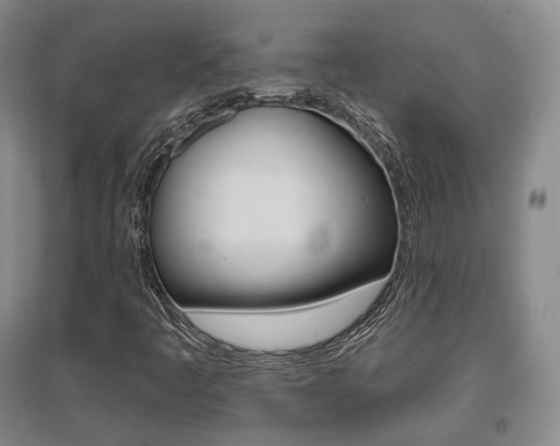 X0000095881445200801110753