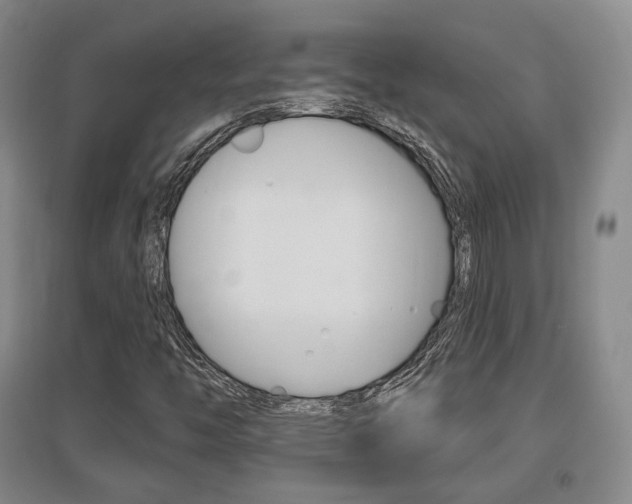 X0000095881446200801110753