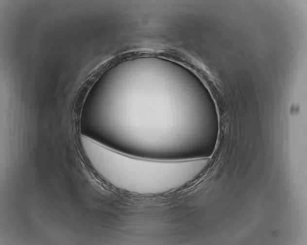 X0000095881448200801110753