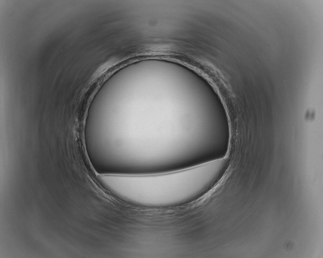 X0000095881449200801110753