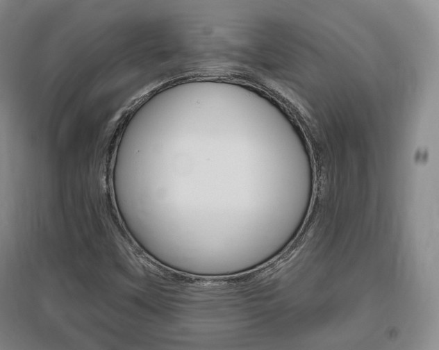 X0000095881451200801110753