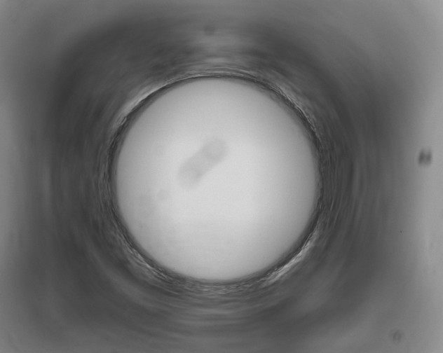 X0000095881453200801110753