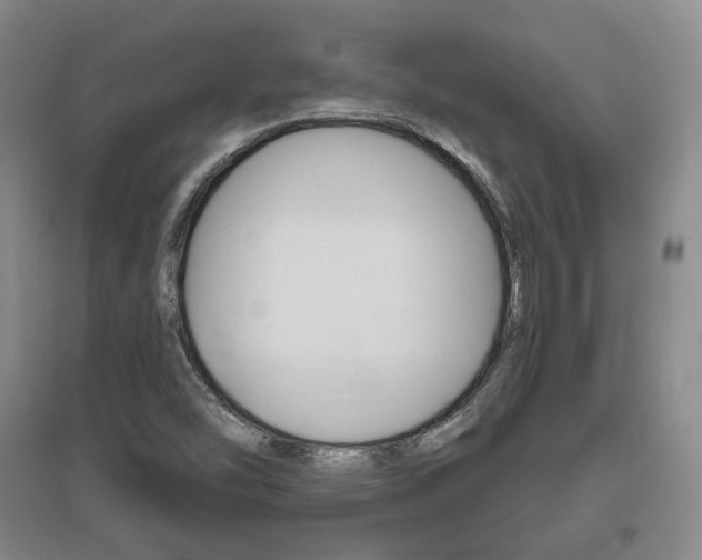 X0000095881454200801110753