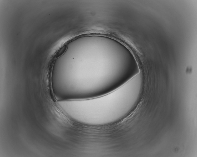 X0000095881455200801110753