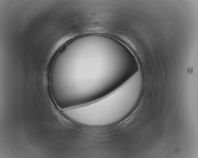 X0000095881458200801110753