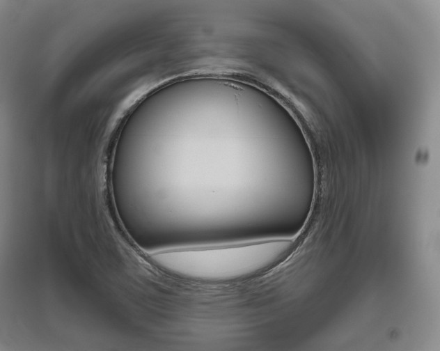 X0000095881459200801110753