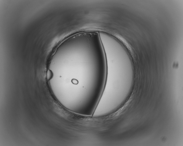X0000095881461200801110753