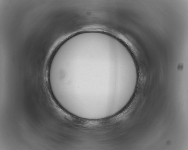X0000095881462200801110753