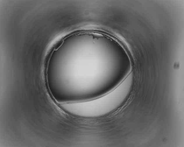 X0000095881464200801110753