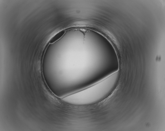 X0000095881465200801110753