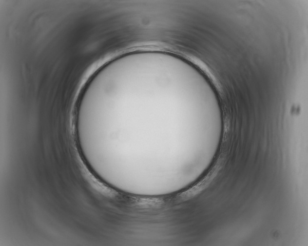 X0000095881466200801110753
