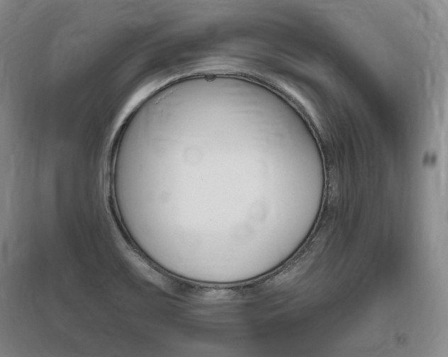 X0000095881467200801110753