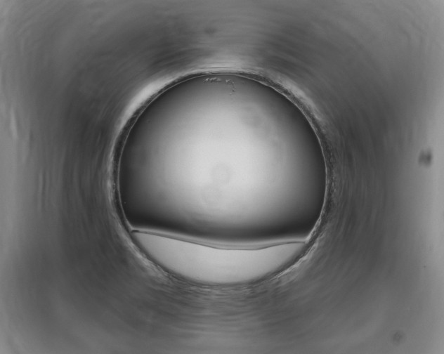 X0000095881469200801110753