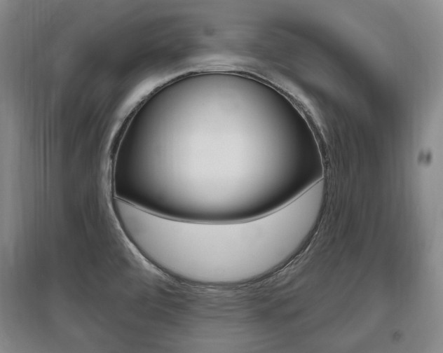 X0000095881472200801110753