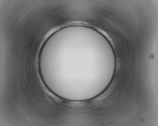 X0000095881474200801110753