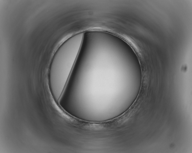 X0000095881476200801110753