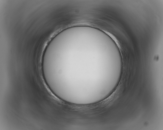 X0000095881477200801110753