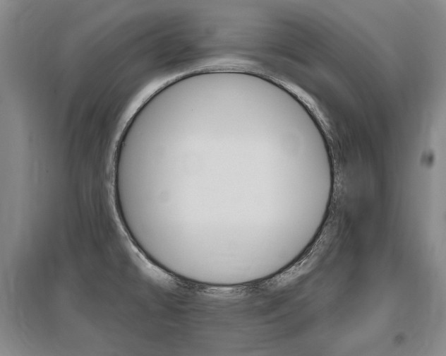X0000095881478200801110753
