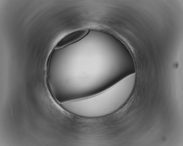 X0000095881479200801110753