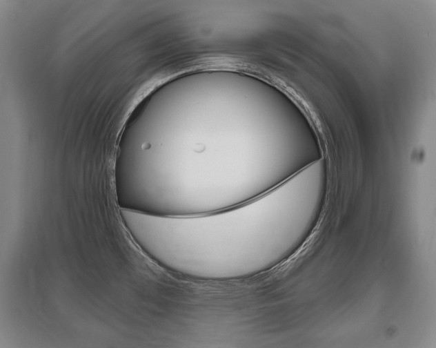 X0000095881481200801110753