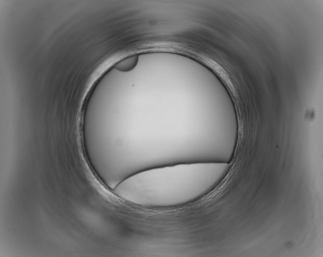 X0000095881482200801110753