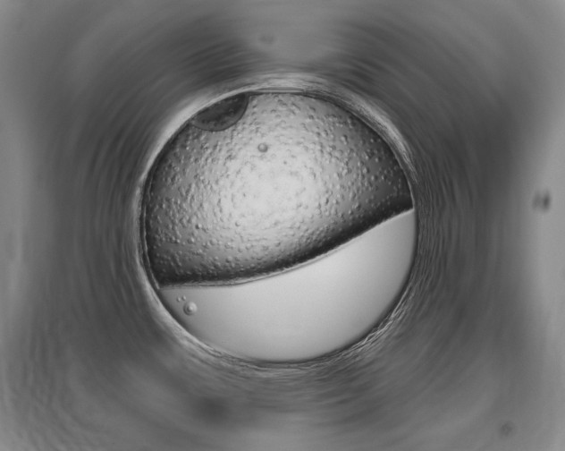X0000095881483200801110753