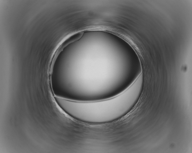 X0000095881484200801110753