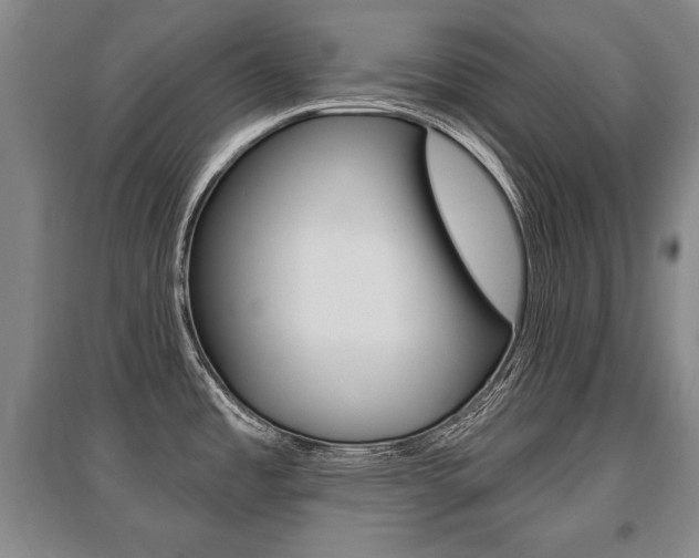 X0000095881485200801110753