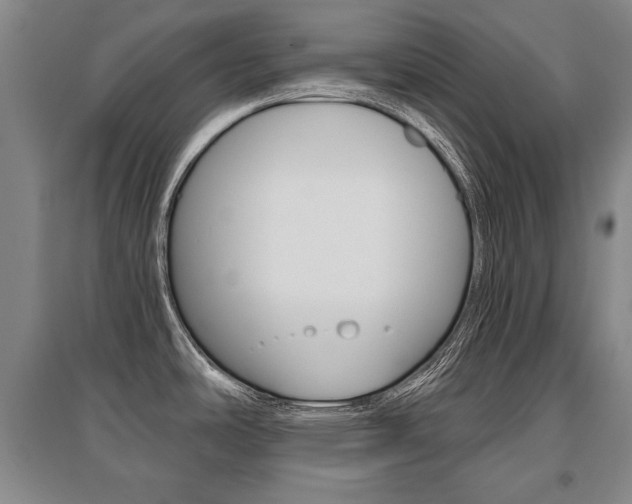 X0000095881486200801110752