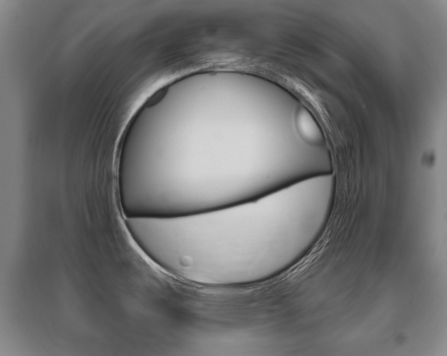 X0000095881487200801110752