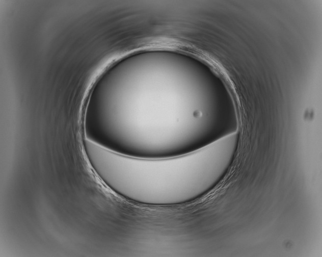 X0000095881488200801110752