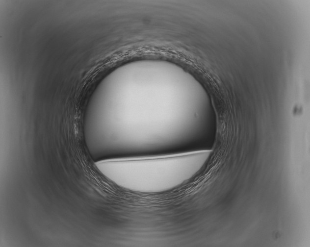 X0000095881490200801110752