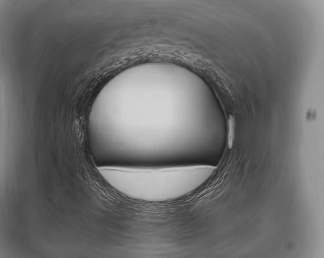 X0000095881491200801110752