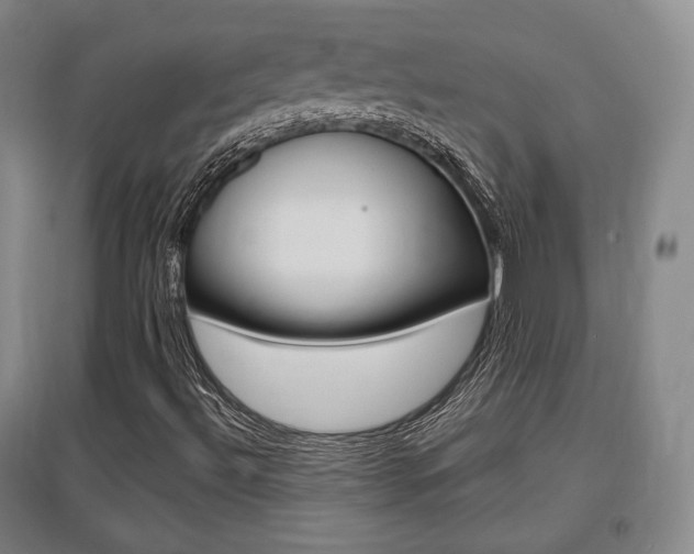 X0000095881492200801110752