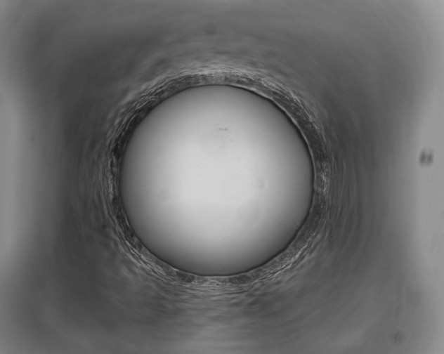 X0000095881493200801110752