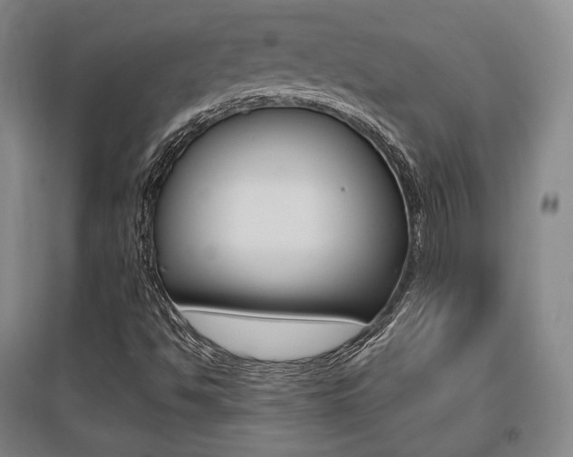 X0000095881494200801110752