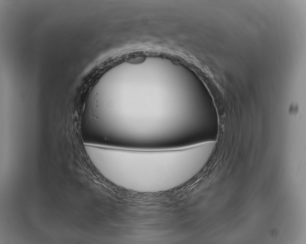 X0000095881495200801110752