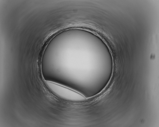 X0000095881497200801110752
