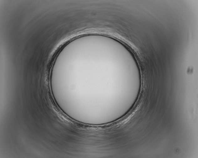 X0000095881498200801110752