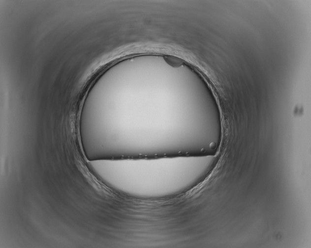 X0000095881499200801110752