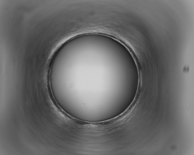 X0000095881500200801110752