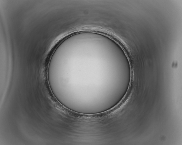 X0000095881501200801110752