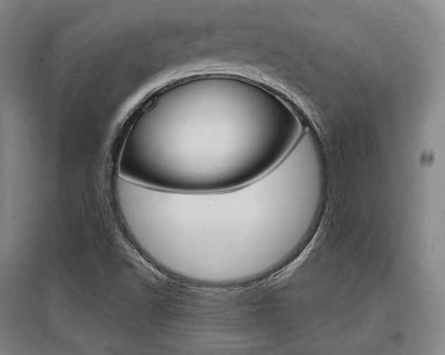 X0000095881502200801110752