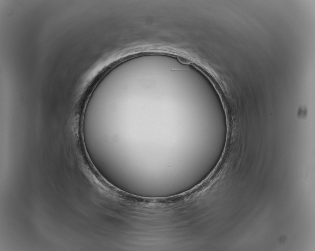X0000095881503200801110752