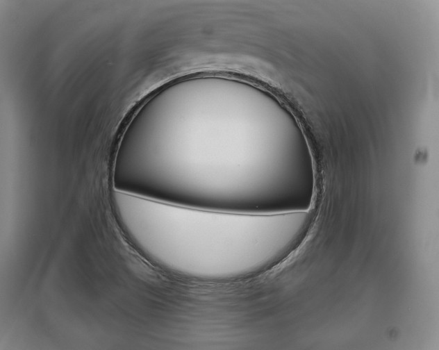 X0000095881505200801110752