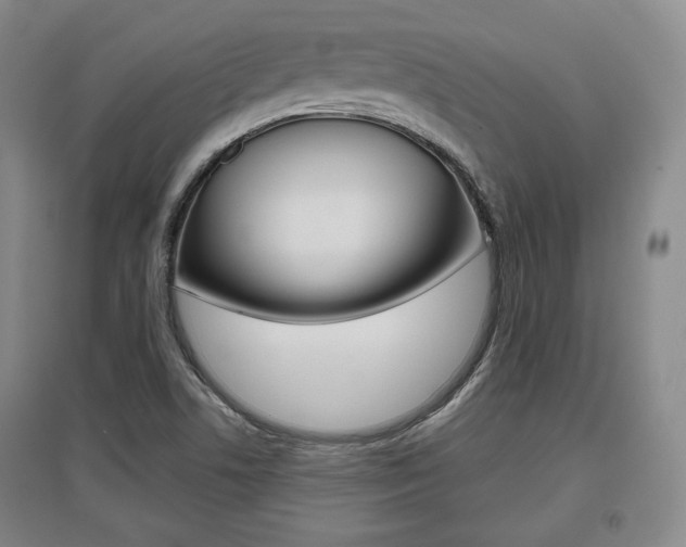 X0000095881506200801110752