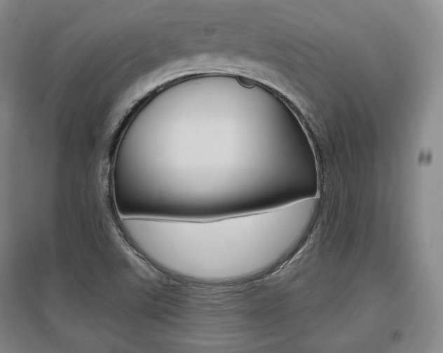 X0000095881507200801110752