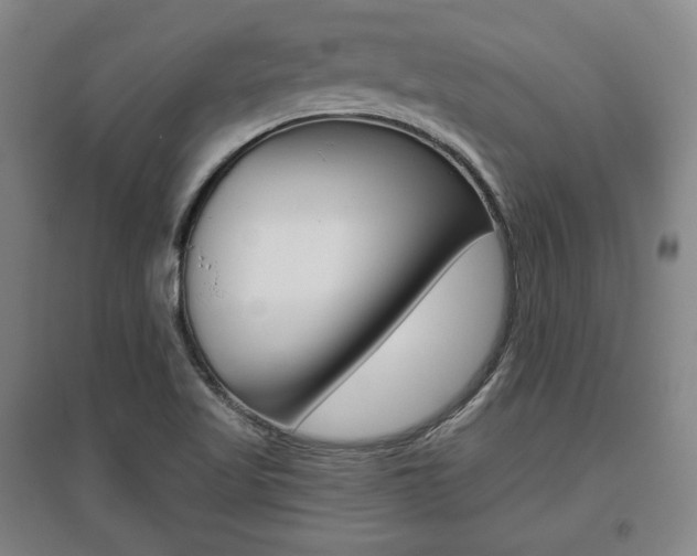 X0000095881509200801110752