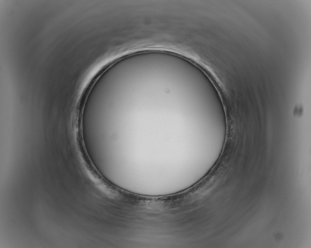X0000095881511200801110752