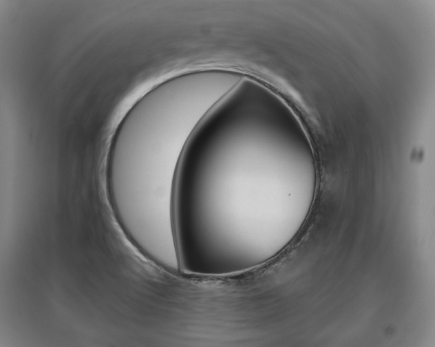 X0000095881512200801110752
